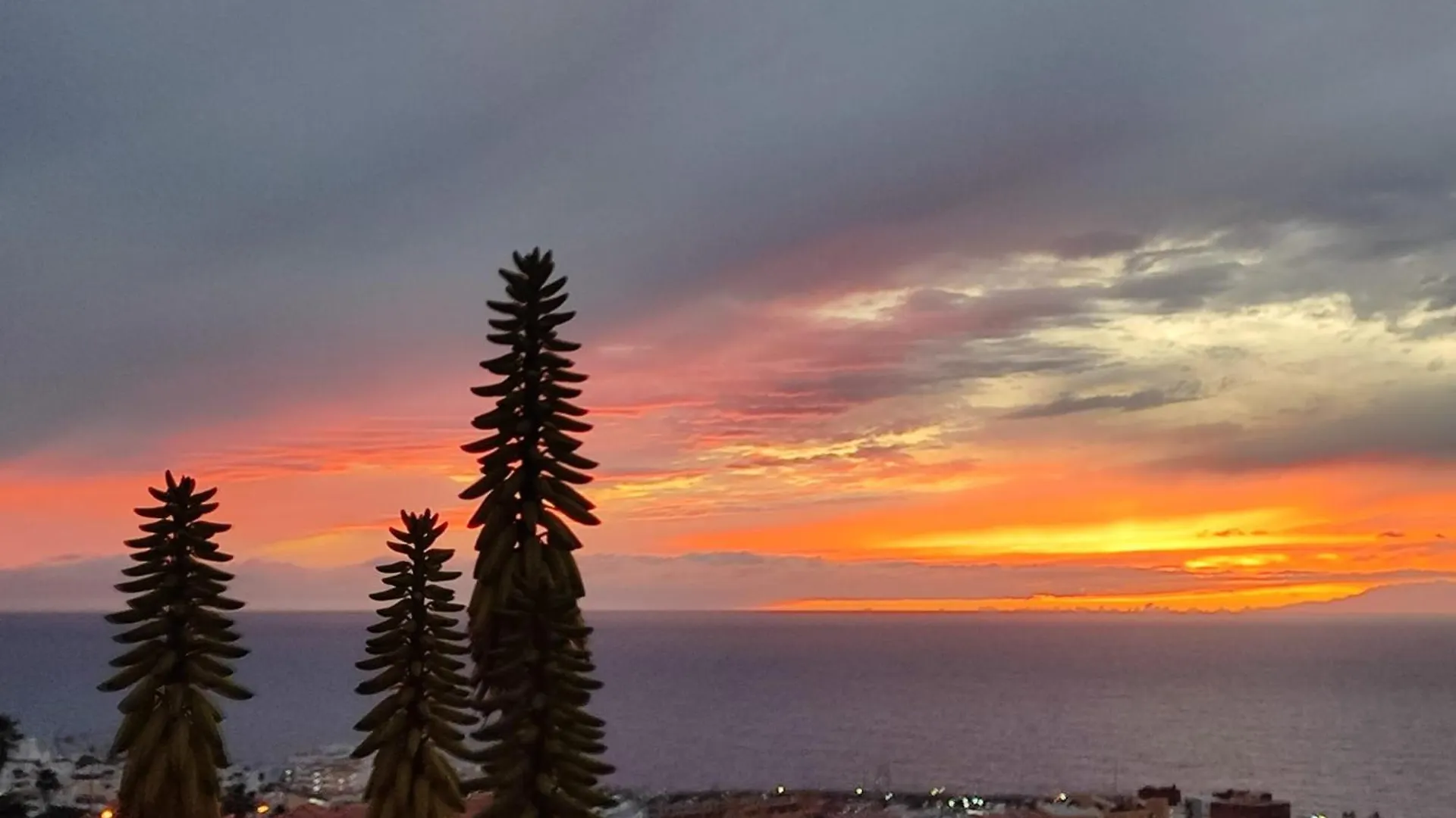 Appartement Aloha Garden Paradise View Costa Adeje
